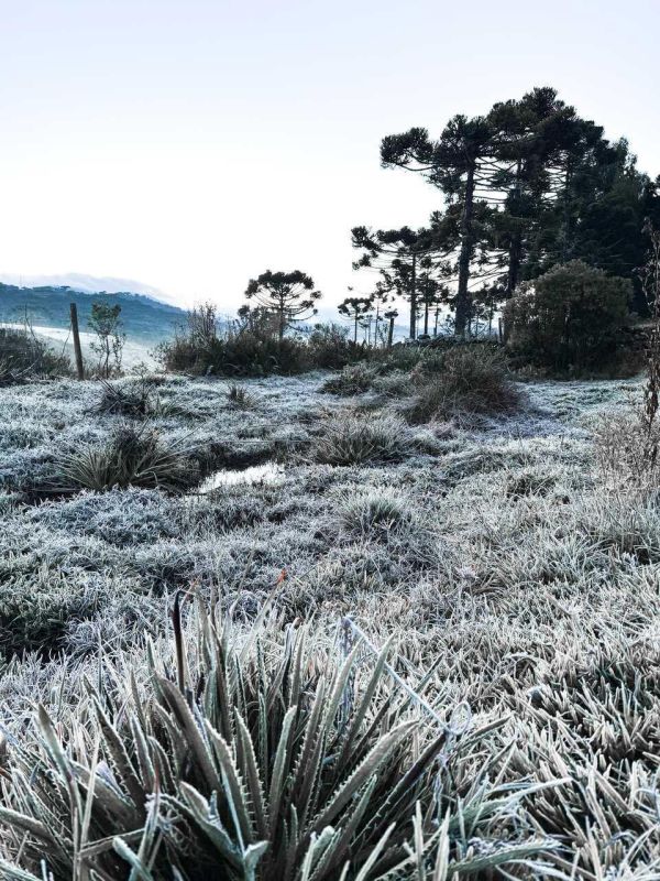Neve, geada, sincelo e chuva congelada: entenda os fenômenos do frio extremo em SC