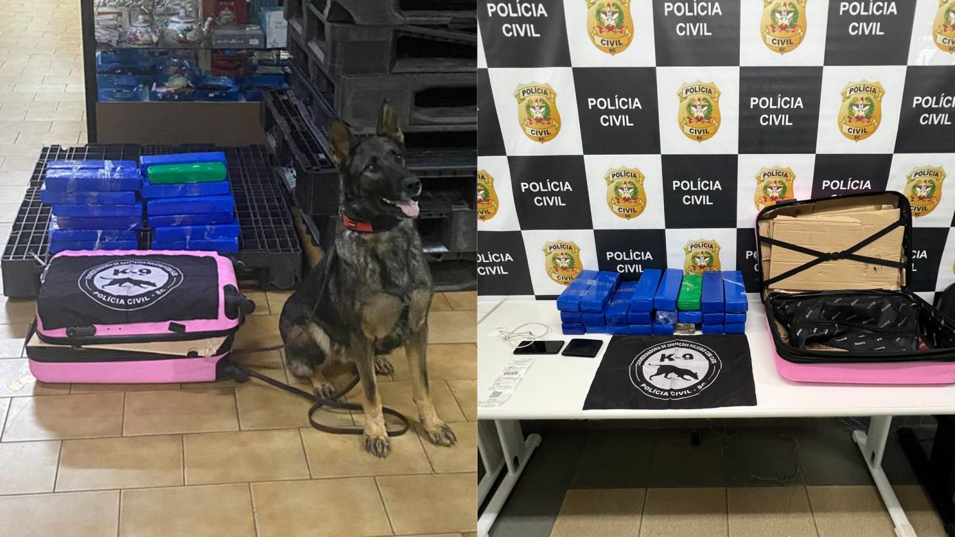 Maconha é localizada em mala de passageira de ônibus durante operação na rodoviária de Xanxerê
