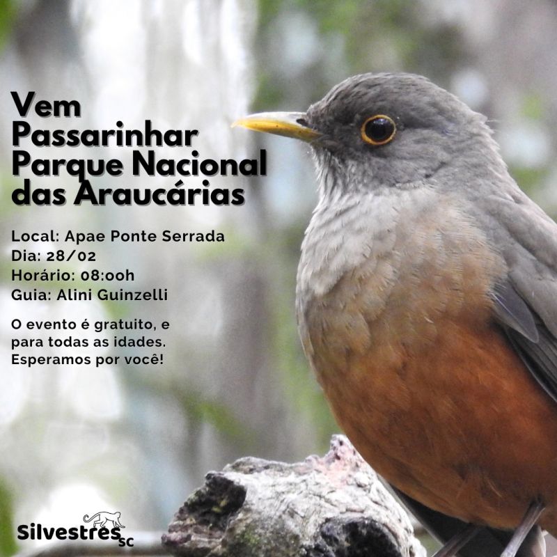 Programa Silvestres SC realiza mais uma edição do Vem Passarinhar, em Ponte Serrada