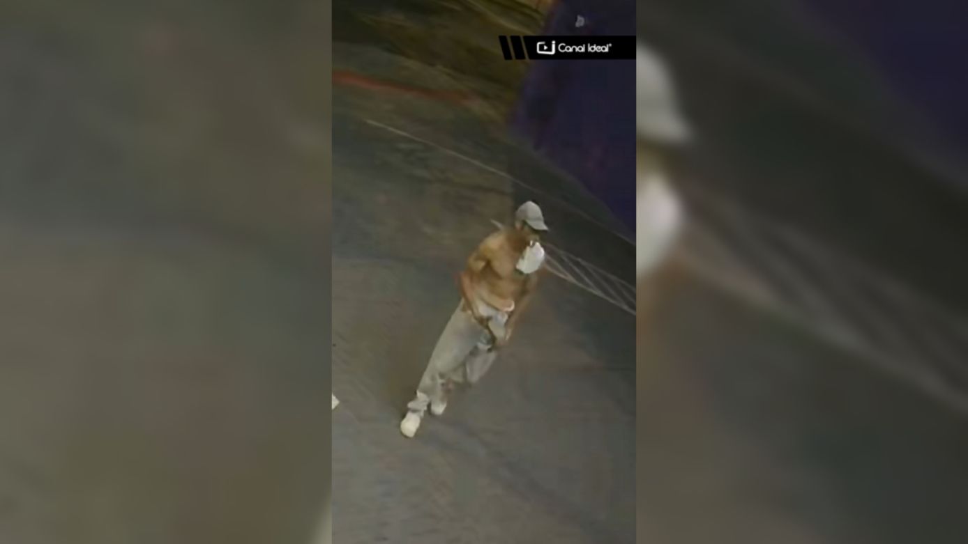 VÍDEO: furto registrado por câmeras na loja da Petlove em Chapecó