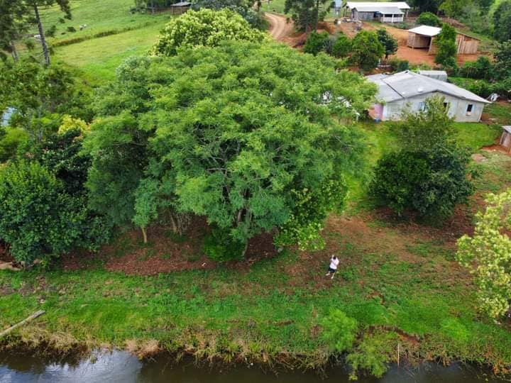Foto: Divulgação/Jornal O Falcão