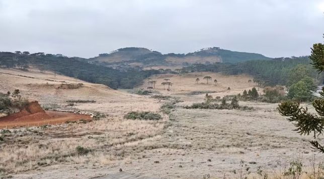 Foto: Sérgio Felipe Rodrigues/Divulgação