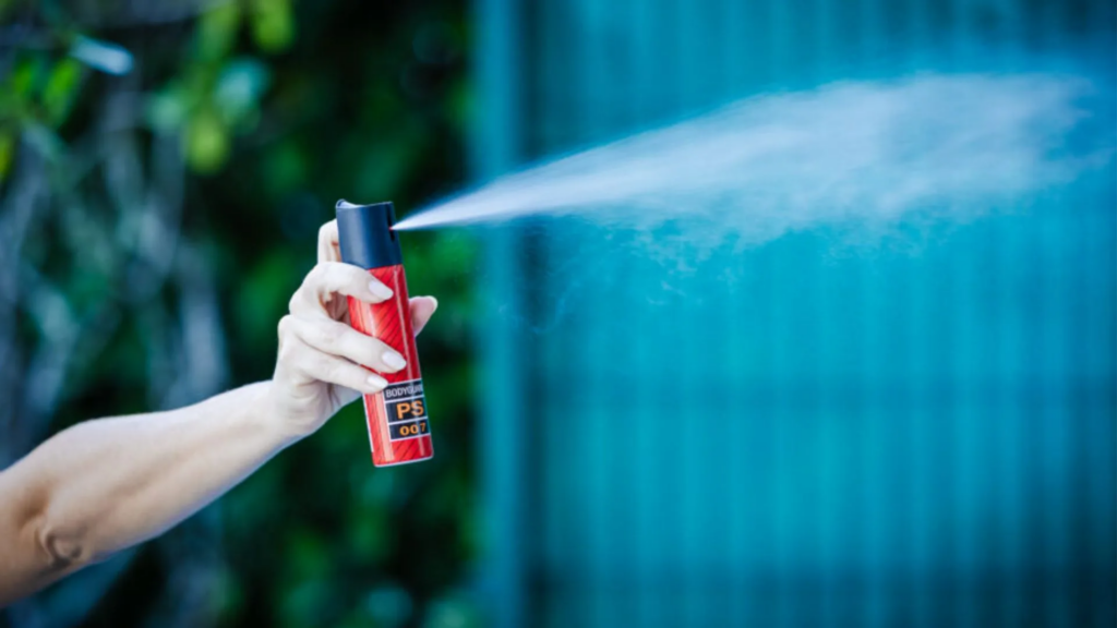 Foto: Bruno Collaço/Agência Alesc