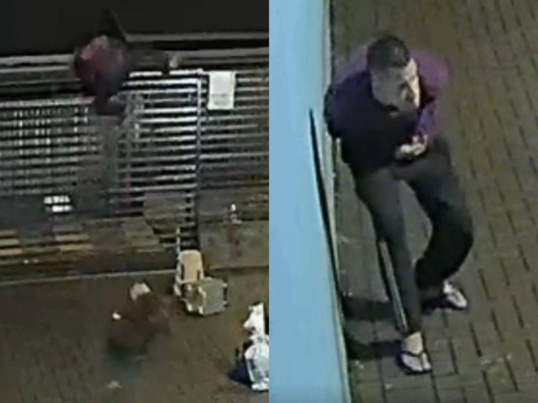 VÍDEO: Ladrão tenta invadir residência em Chapecó, mas acaba surpreendido pelo pit bull da família