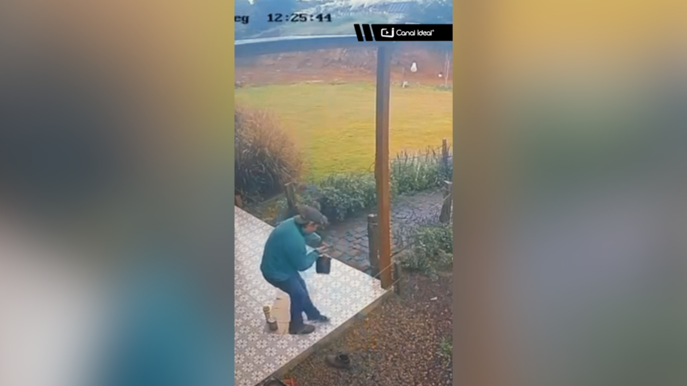 VÍDEO: homem leva choque em cerca elétrica ao buscar ovos e cena viraliza em Videira