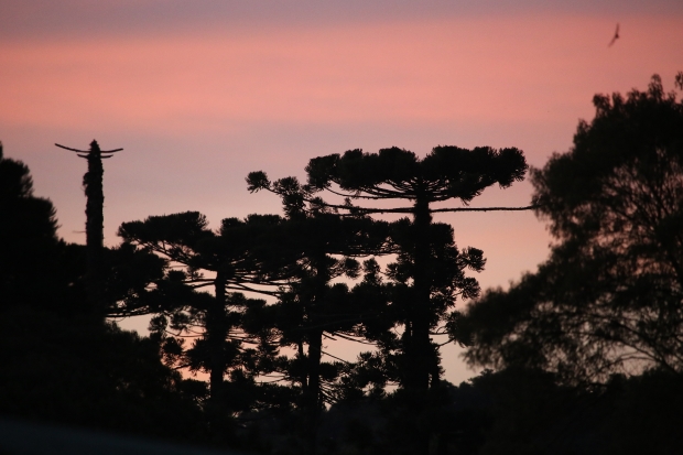 Atendimento ao público seguirá todas as medidas de prevenção ao coronavírus. Foto: Arquivo/IMA