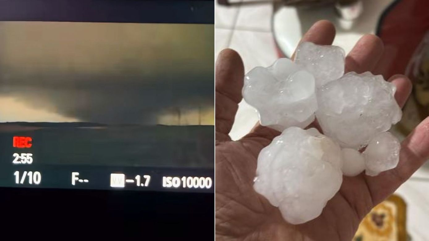 (Foto: Divulgação/Montagem Canal Ideal)